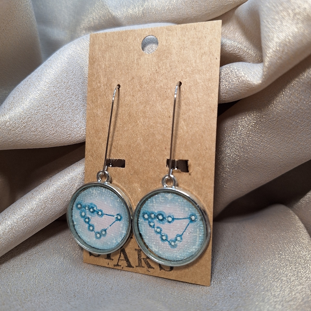 Hand painted earrings